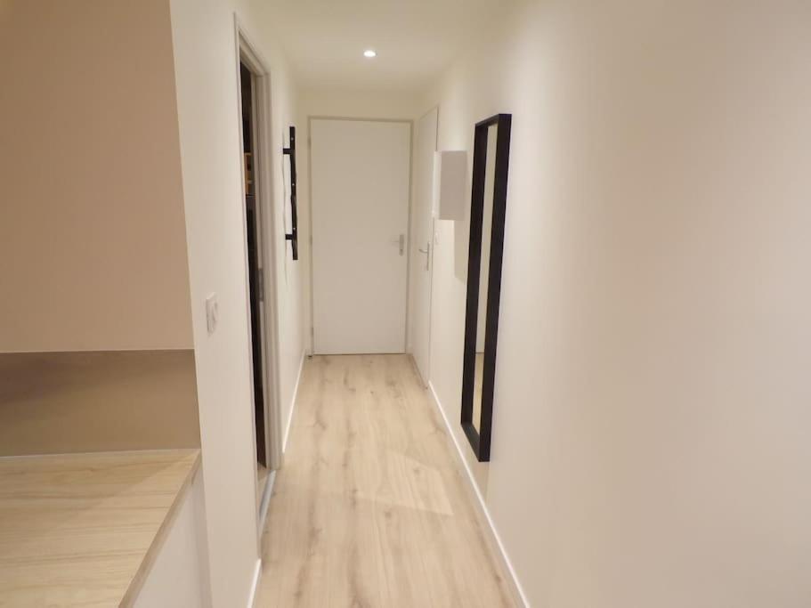 Appartement 2/4 Pers, 44M2, Hypercentre. Лон-ле-Соньє Екстер'єр фото