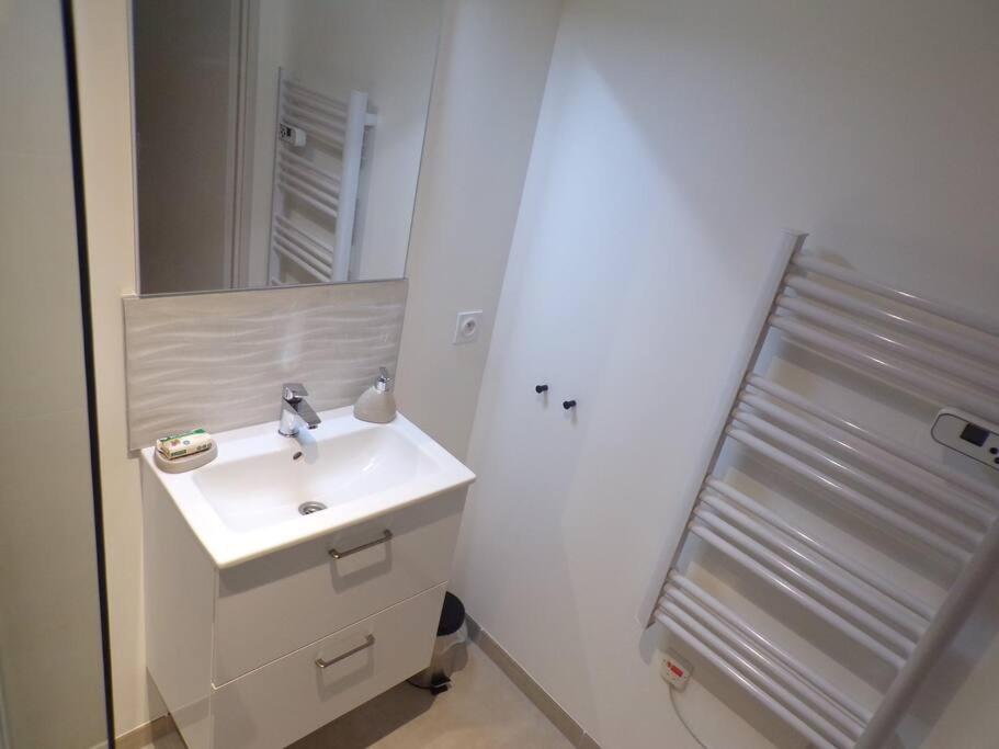 Appartement 2/4 Pers, 44M2, Hypercentre. Лон-ле-Соньє Екстер'єр фото